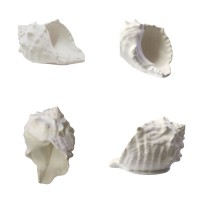 Silikon 3D Dekoratif Mumluk Kalıbı Deniz Kabuğu Bursa Rubeta Model Taş Tozu ve Beton Kalıbı Silikon 3D Dekoratif Mumluk Kalıbı Deniz Kabuğu Bursa Rubeta Model Taş Tozu ve Beton Kalıbı