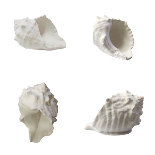 Silikon 3D Dekoratif Mumluk Kalıbı Deniz Kabuğu Bursa Rubeta Model Taş Tozu ve Beton Kalıbı Silikon 3D Dekoratif Mumluk Kalıbı Deniz Kabuğu Bursa Rubeta Model Taş Tozu ve Beton Kalıbı