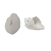 Silikon 3D Dekoratif Mumluk Kalıbı Deniz Kabuğu Bursa Rubeta Model Taş Tozu ve Beton Kalıbı Silikon 3D Dekoratif Mumluk Kalıbı Deniz Kabuğu Bursa Rubeta Model Taş Tozu ve Beton Kalıbı