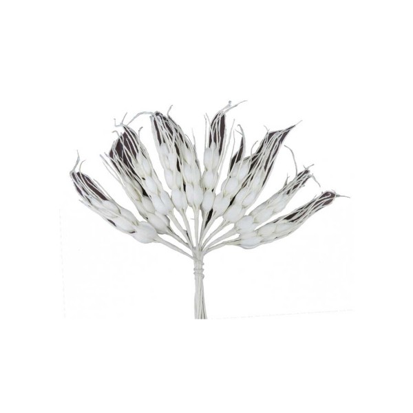 Çiçek Başak Modeli  (100 Adet)  Beyaz