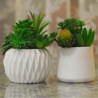 Epoksi Beton  Taştozu Saksı ve Kavanoz Silikon Kalıbı 10.2X7,3