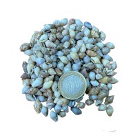 Nassa Shell Kiloluk Deniz Kabuğu 250 GR Yerli Nassa Shell Kiloluk Deniz Kabuğu 250 GR Yerli