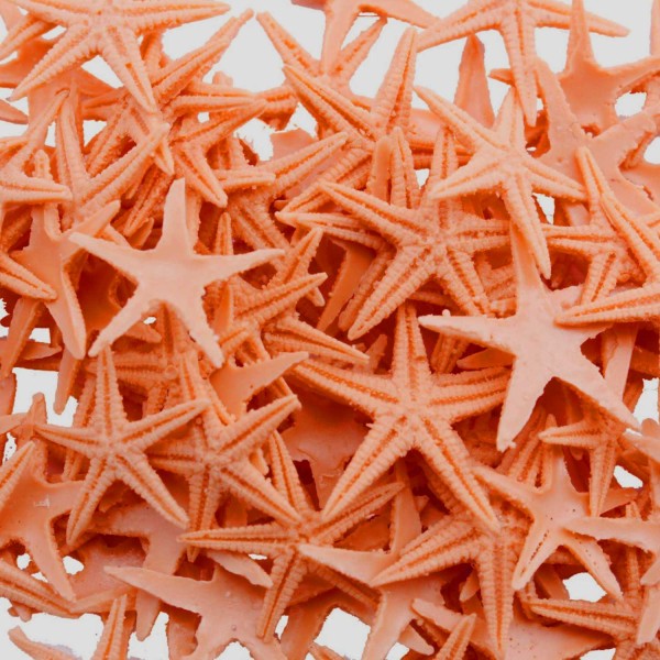 Polyester Deniz Yıldızı Minik Boy  0.5 CM- 1.5 CM (100 Adet)  Turuncu