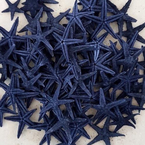 Naturel Deniz Yıldızı Minik Boy  1.5 Cm -3 Cm (100 Adet)  Mavi