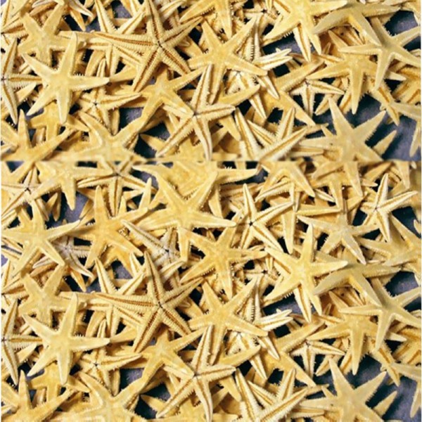 Naturel Deniz Yıldızı Minik Boy 1.5 Cm -3 Cm (100 Adet) Natural Naturel Deniz Yıldızı Minik Boy 1.5 Cm -3 Cm (100 Adet) Natural
