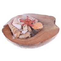Coco Kabuk Sepeti 18-20 cm Arası Coco Kabuk Sepeti 18-20 cm Arası