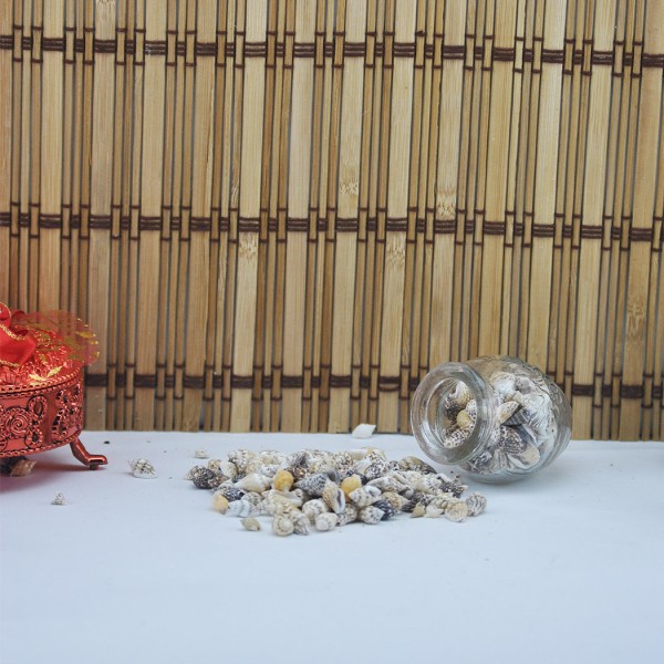 Karışık Minik Kiloluk Deniz Kabuğu (Şişe İçi İçin) 500 Gr