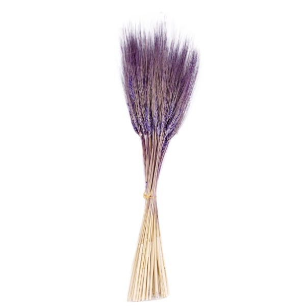 Kuru Çiçek Doğal Başak Buğday Başağı 45 Cm (1 Demet) Lila Kuru Çiçek Doğal Başak Buğday Başağı 45 Cm (1 Demet) Lila