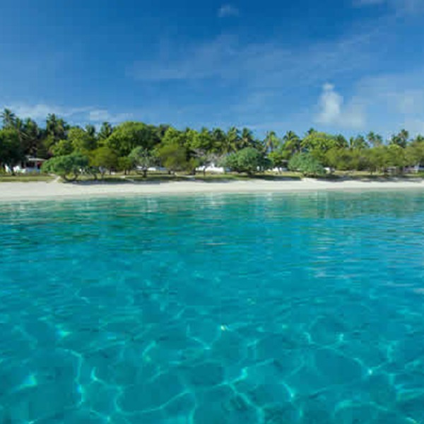 Sabun Esansı Okyanus Kokulu 15 Cc