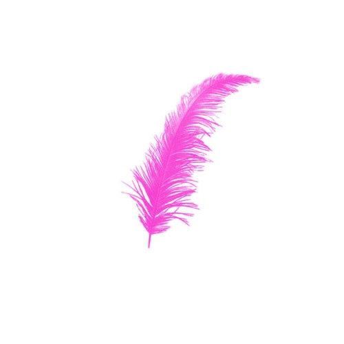 Renkli Tüy (100 Adet)  Fuşya