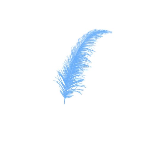 Renkli Tüy (100 Adet)  Mavi