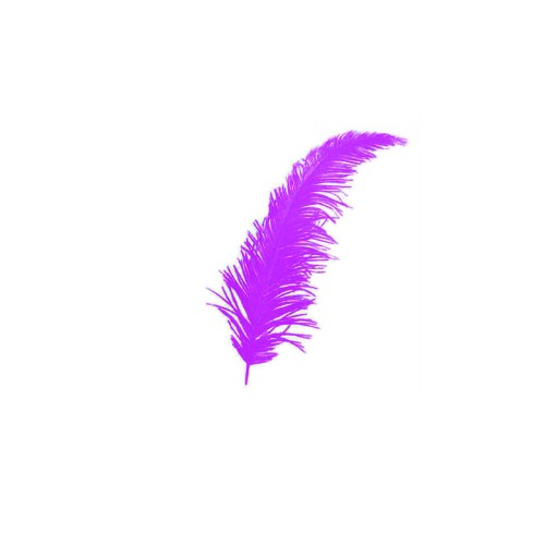 Renkli Tüy (100 Adet)  Mor