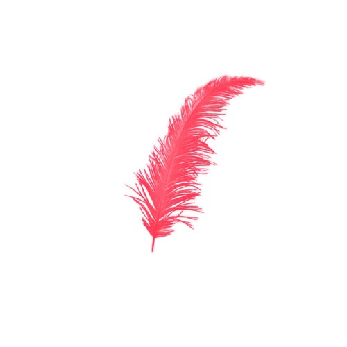 Renkli Tüy (100 Adet)  Kırmızı