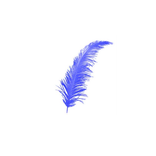 Renkli Tüy (100 Adet)  Saks Mavi